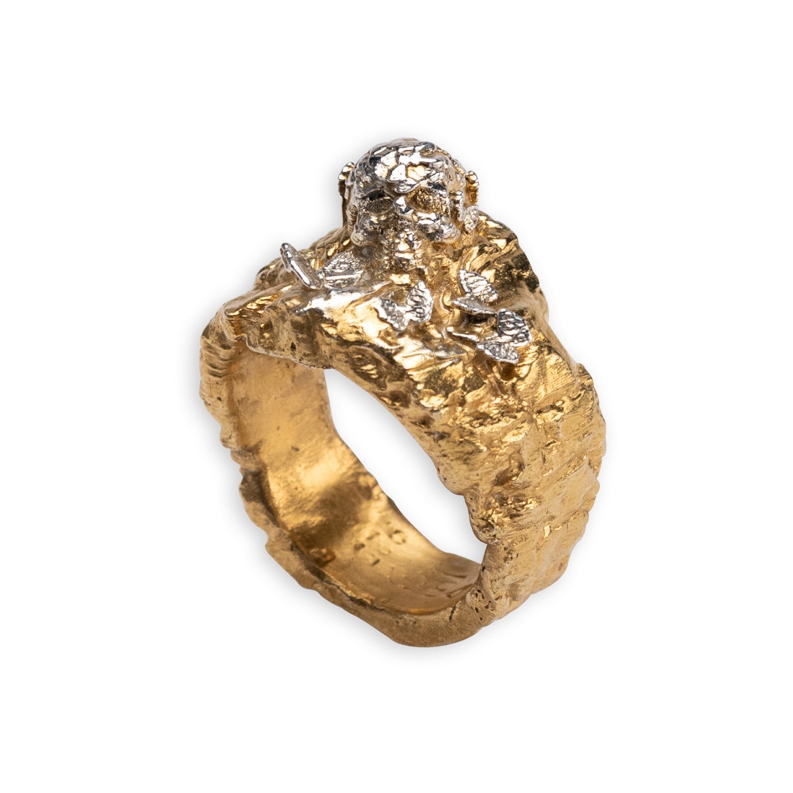 SKULL IN BUTTERFLIES