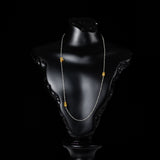 ROYAL SKULLS II