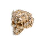 BUTTERFLY EFFECT SKULL