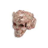 BUTTERFLY EFFECT SKULL