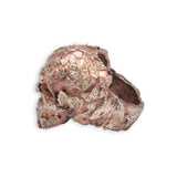 BUTTERFLY EFFECT SKULL