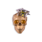 SPRING SKULL