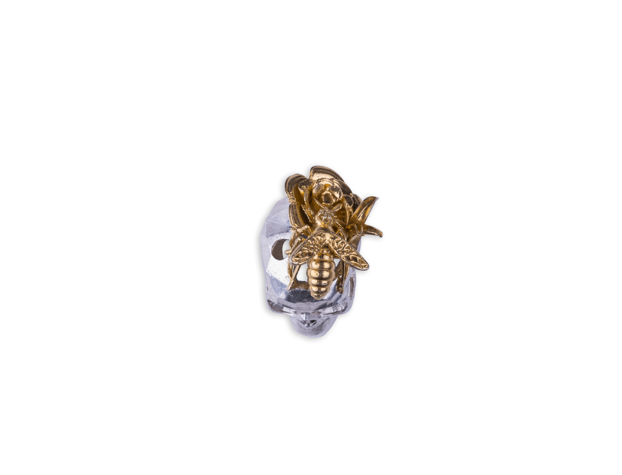 SPRING SKULL
