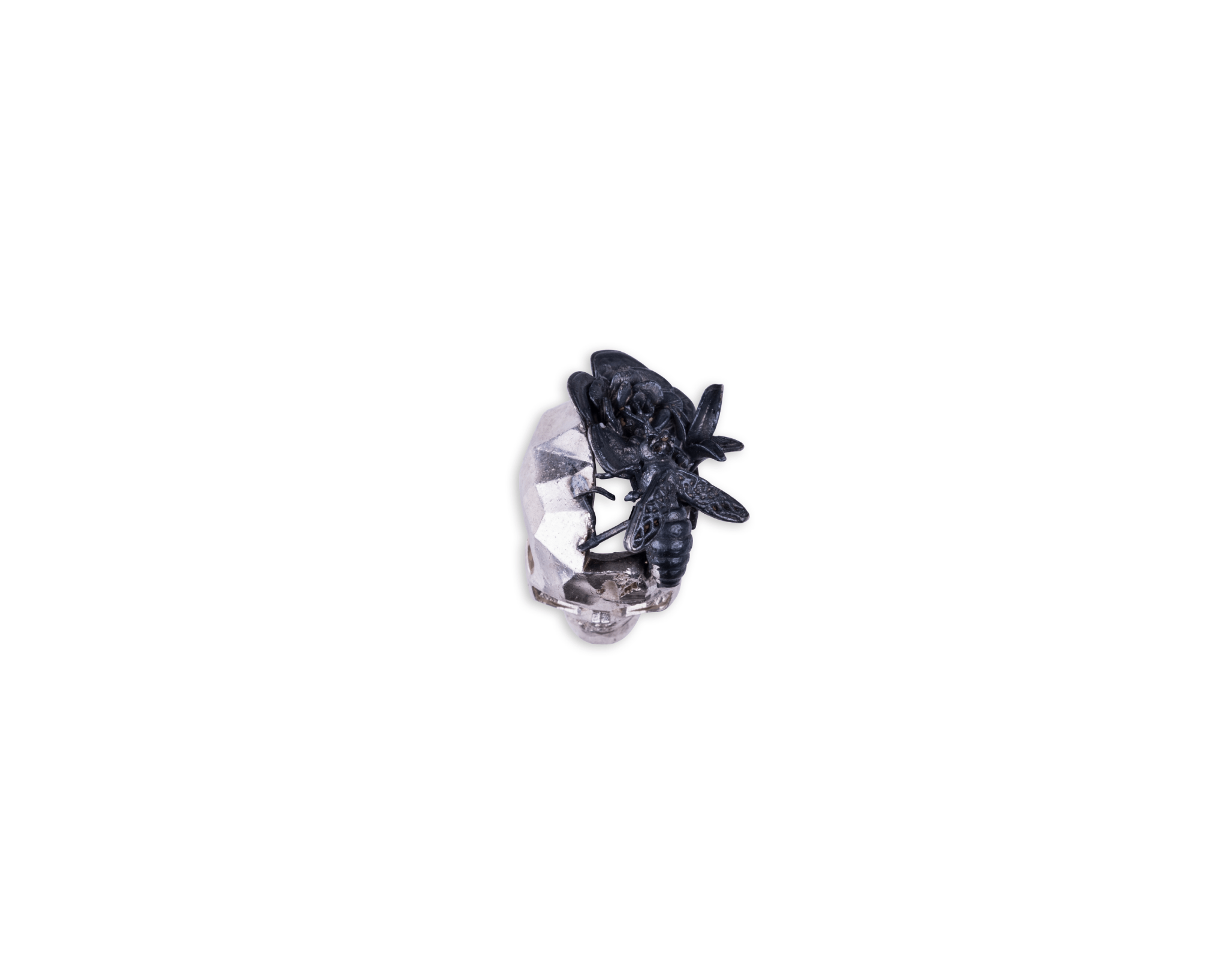 SPRING SKULL