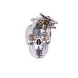 SPRING SKULL