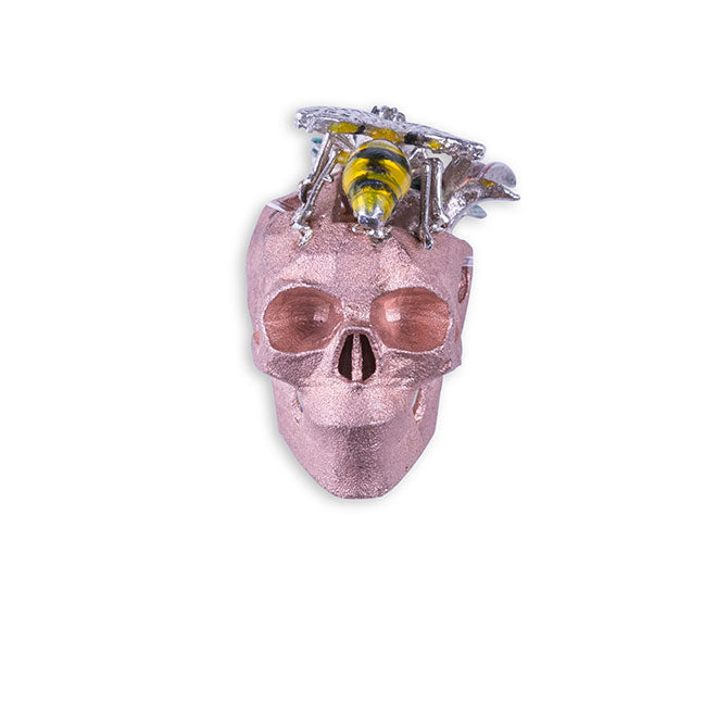 SPRING SKULL
