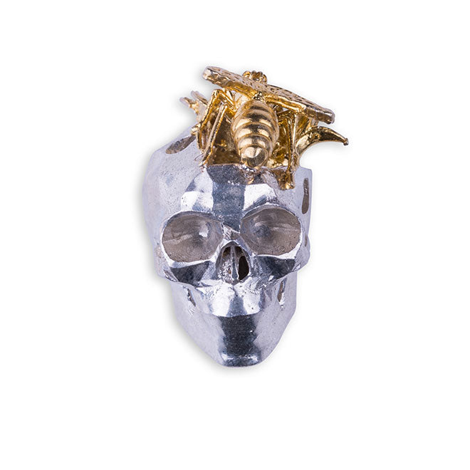 SPRING SKULL