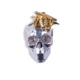 SPRING SKULL