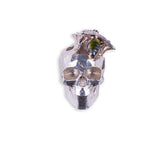SPRING SKULL