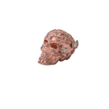 BUTTERFLY EFFECT SKULL
